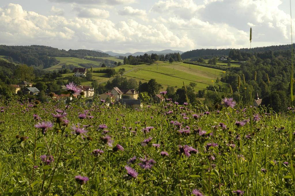 Ferienwohnung Bialy Wierch Bieszczady Polańczyk Exterior foto